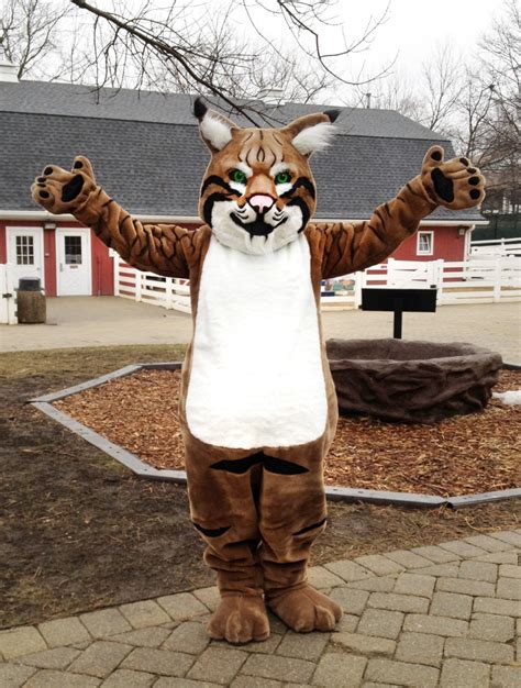 Bobcat mascot outfit